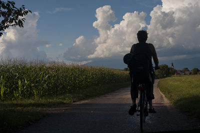 Rear view of man riding bicycle on road