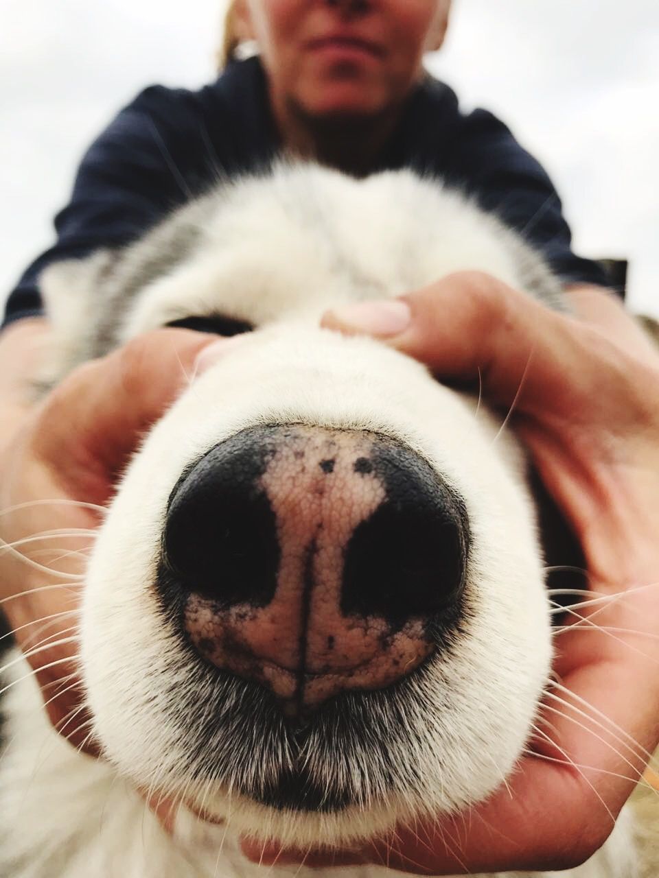 CLOSE-UP PORTRAIT OF DOG WITH BABY