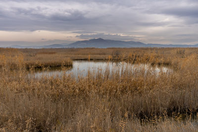 Scenic view of lake against sky