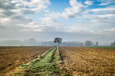 Scenic view of field against cloudy sky