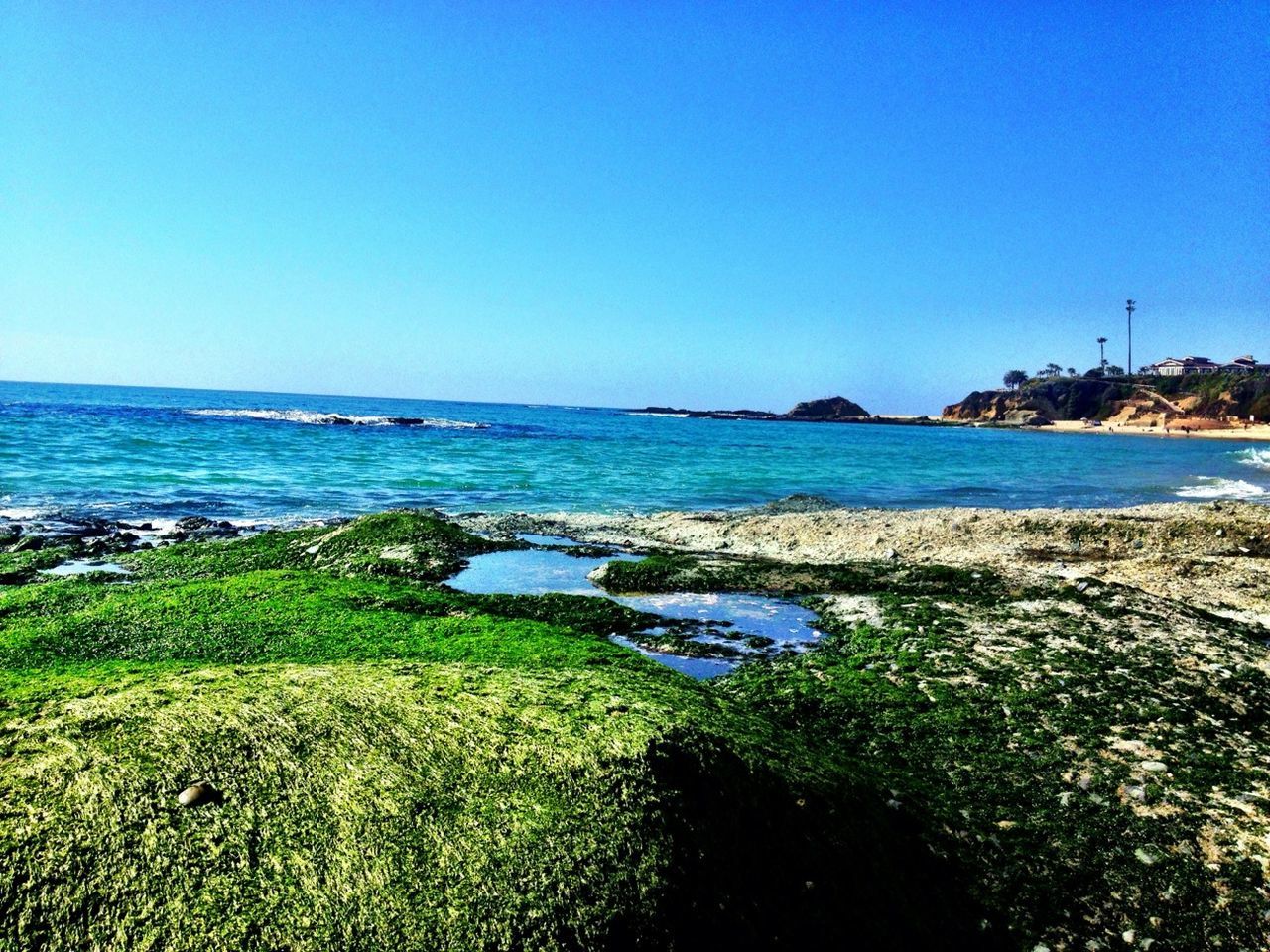 clear sky, water, blue, sea, copy space, horizon over water, tranquil scene, tranquility, scenics, beauty in nature, beach, grass, nature, shore, coastline, idyllic, plant, day, sunlight, outdoors