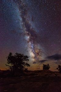 Scenic view of star field at night