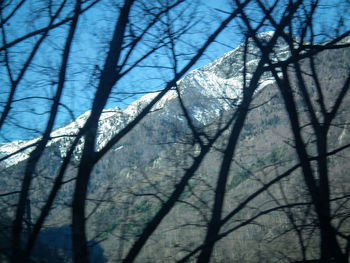 Low angle view of bare trees against sky