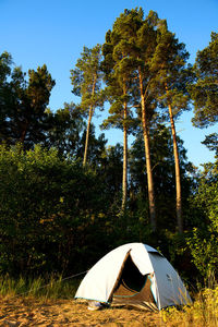 View of tent at the beach and forest at lake vänern in sweden 