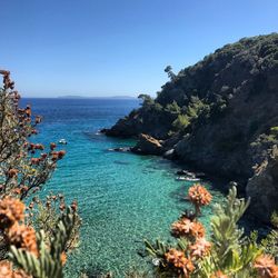 Scenic view of sea against clear blue sky