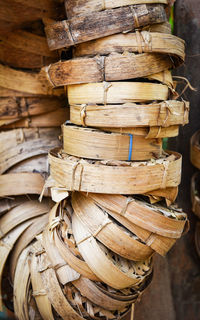 Close-up of stack of logs in forest