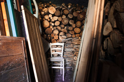 Stack of logs in forest