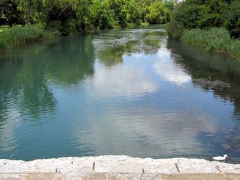 Reflection of trees in lake