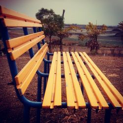 Footbridge over trees