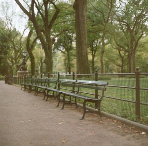 Empty bench in park