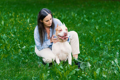 Woman in casual petting american pitbull terrier on grass. happy dog with tongue out looking around