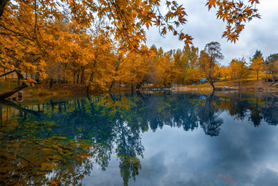 Reflection of trees on lake during autumn