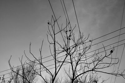 Low angle view of power lines