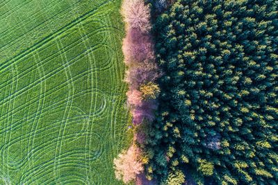 Aerial view of agricultural field