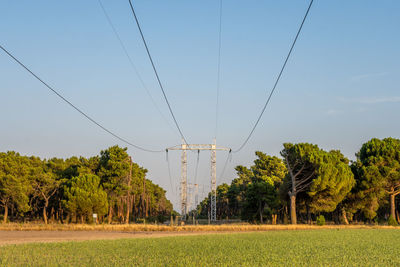 Trees on field against clear sky