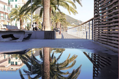 Swimming pool by trees against sky in city