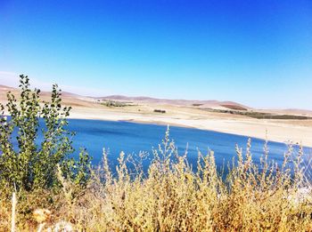 Scenic view of landscape against clear blue sky