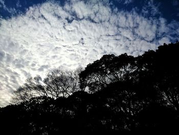 Low angle view of silhouette trees against cloudy sky