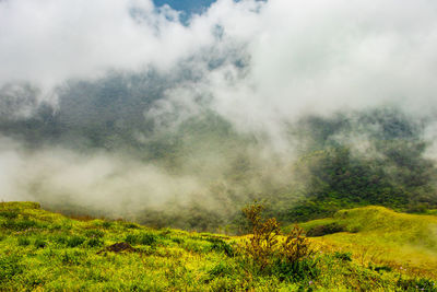 Mountain with green grass and amazing sky image is showing the amazing beauty