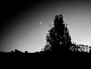 Low angle view of silhouette trees against sky at night
