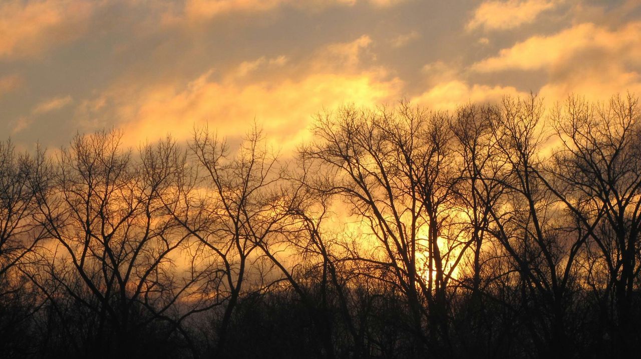 sunset, silhouette, sky, bare tree, orange color, tree, beauty in nature, scenics, tranquility, tranquil scene, cloud - sky, dramatic sky, nature, idyllic, branch, cloud, low angle view, majestic, outdoors, landscape