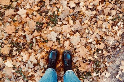 Low section of person standing on dry leaves