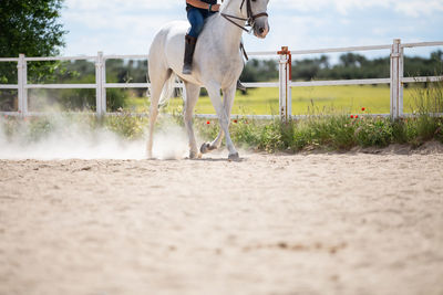 Low section of man riding horse in pen