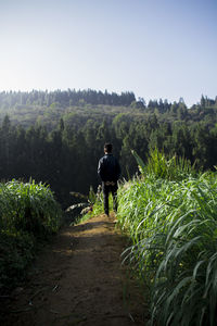 Rear view of man walking on footpath