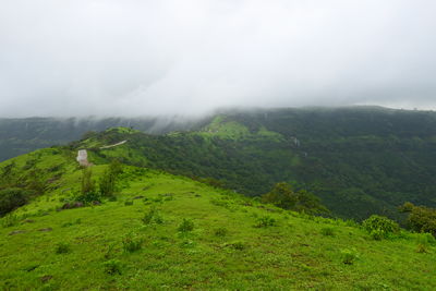 environment