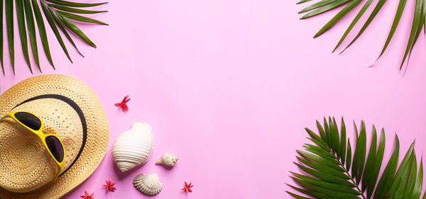 Close-up of pink flowering plant on table