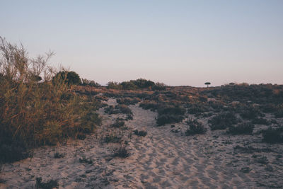 Scenic view of land against clear sky during sunset