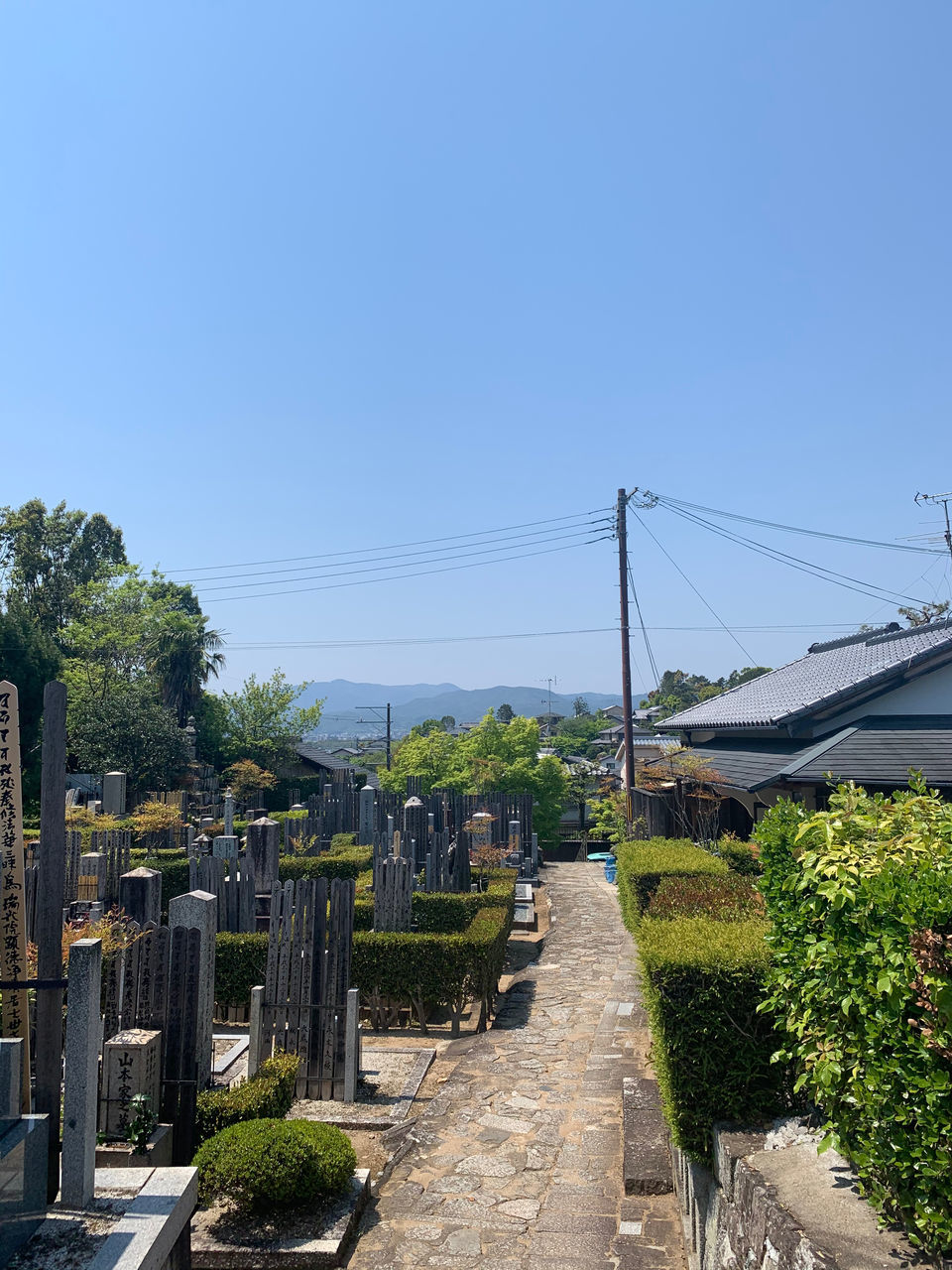 sky, plant, tree, clear sky, nature, architecture, copy space, built structure, no people, day, building exterior, sunlight, blue, electricity, outdoors, connection, transportation, cable, growth, the way forward