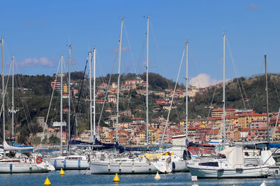 Sailboats moored at harbor against clear sky