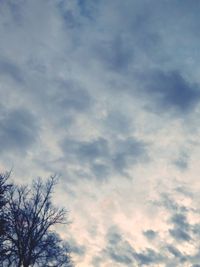 Low angle view of tree against cloudy sky