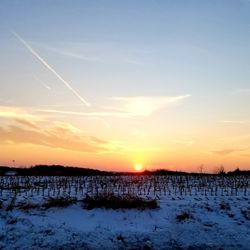 Scenic view of snowy field against sky during sunset