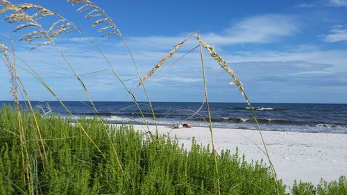 Scenic view of sea against blue sky