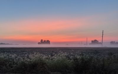 Foggy morning drive