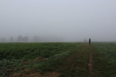 Scenic view of grassy field against sky during foggy weather