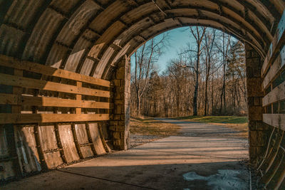 Empty road amidst bare trees against sky framed inside a tunnel. 