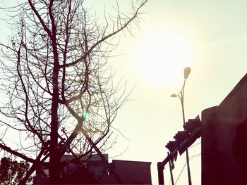 Low angle view of bare tree against sky