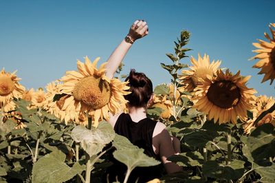 Woman on sunflower field