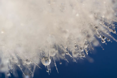 Close-up of frozen water