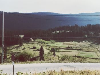 Scenic view of lake in forest against sky