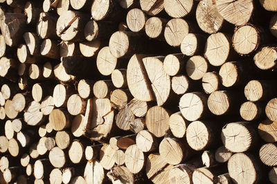 Full frame shot of logs in forest