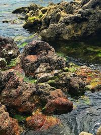 High angle view of rock in sea