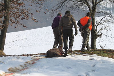 Rear view of hunters with wild boar walking by snow covered field