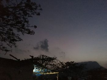 Low angle view of silhouette tree and building against sky