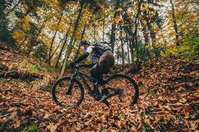 Bicycle parked by tree in forest during autumn