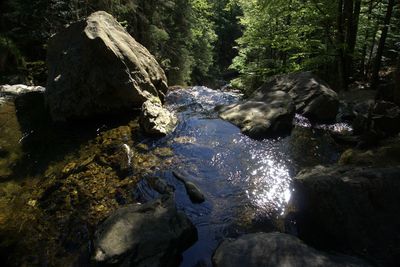 Stream flowing through rocks in forest