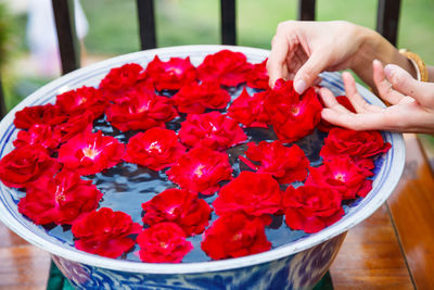 Close-up of hand holding red flowers in bowl